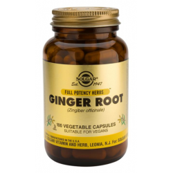 Raíz de Jengibre (Ginger Root)