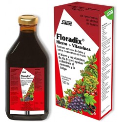 Floradix Hierro